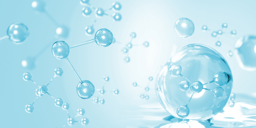 Inside Out Structural Support: How Connective Tissue, Hydration, and Collagen Pathways Work Together