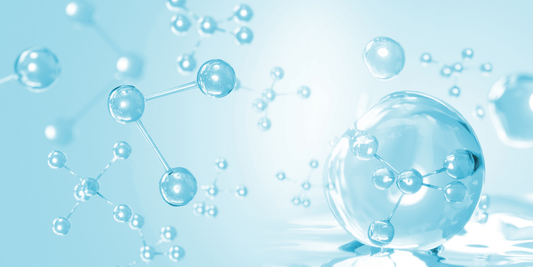 Inside Out Structural Support: How Connective Tissue, Hydration, and Collagen Pathways Work Together